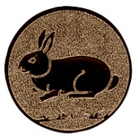 MA050