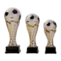 Beeld Voetbal Metallic
