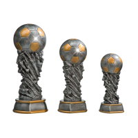 Beeld Voetbal Rots